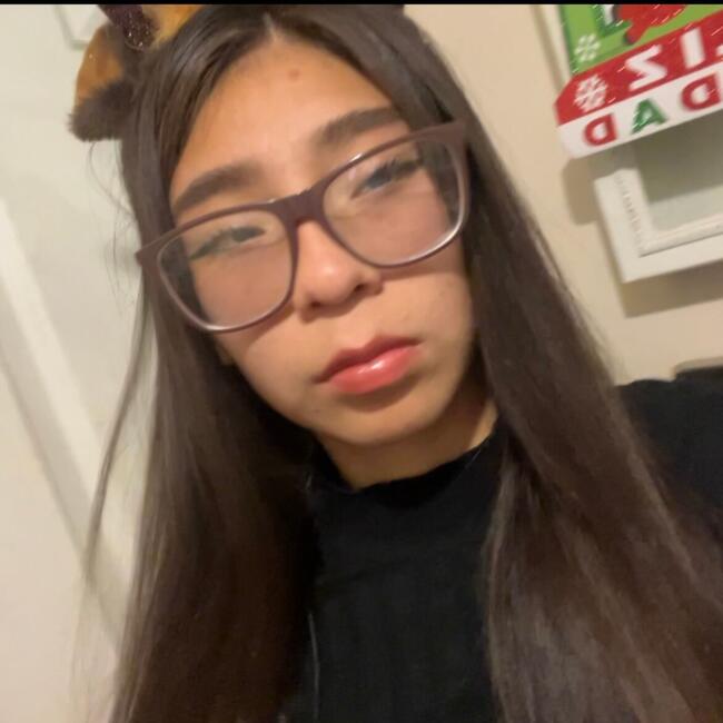 Babysitter in Calama: Fernanda