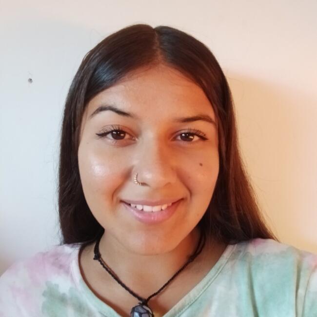 Niñera en Santiago de Chile: Mariela