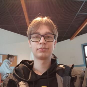 Babysitter in Nantes: Romain