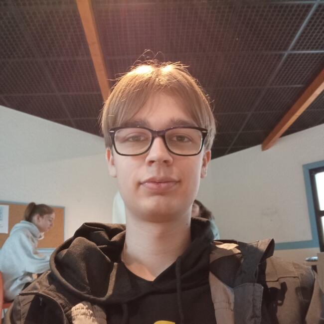 Babysitter in Nantes: Romain