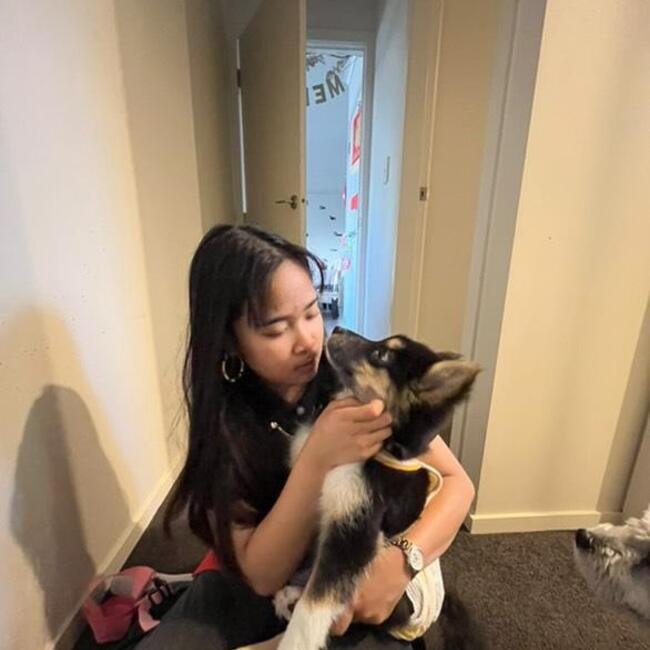 Babysitter in Hamilton: Jalenjay