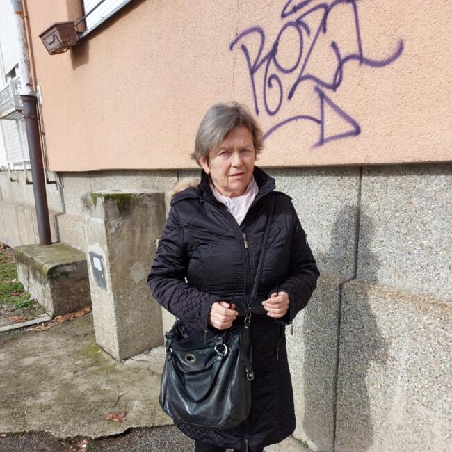 Babysitter in Zagreb: Dragica