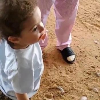 Babysitting job in Nottingham: babysitting job NOUF