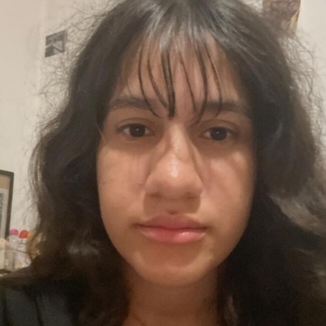 Babysitter in Leno: Hiba