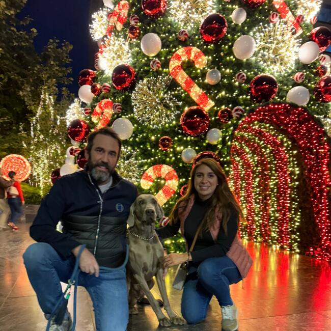 Babysitting job in Mexico City: Patricia