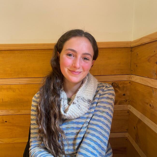 Niñera en Santiago de Chile: Javiera