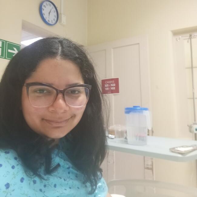 Babysitting job in Iquique: Luisa