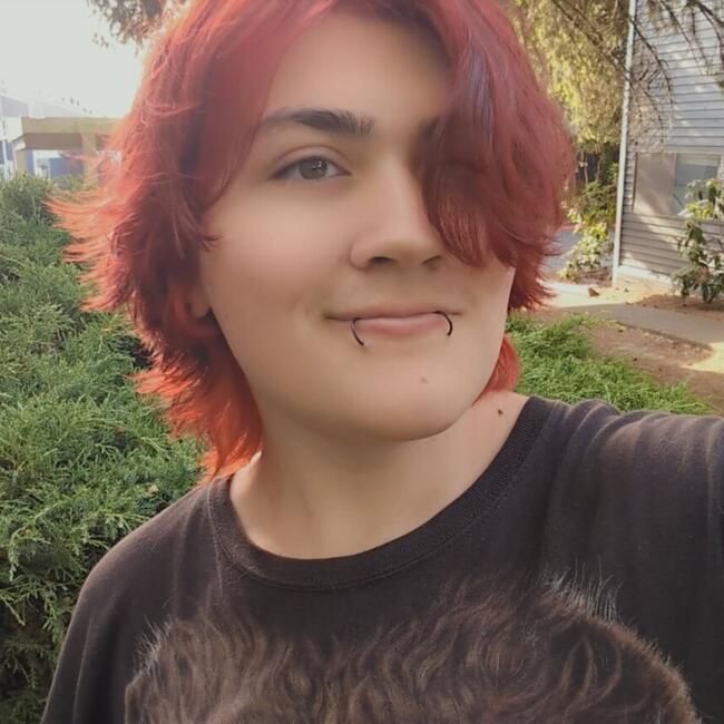 Babysitter in Renton: Dylan