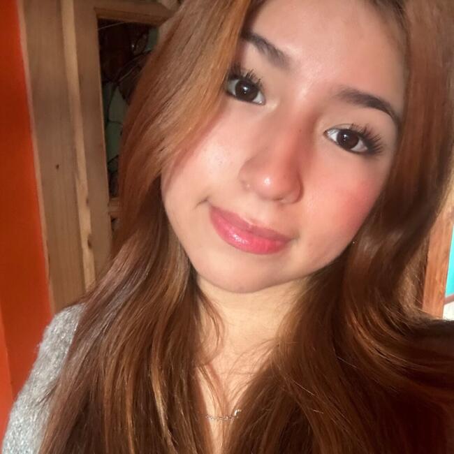 Babysitter in Antofagasta: Fernanda