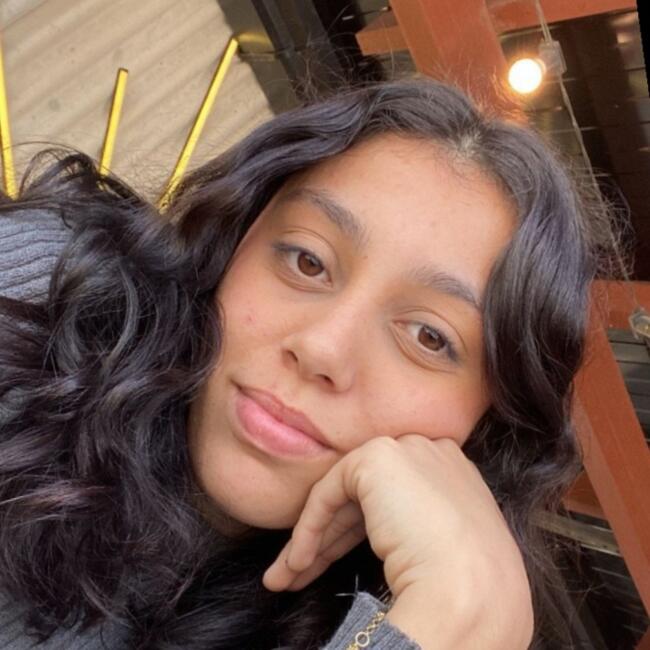 Babysitter in Blumenau: Larissa