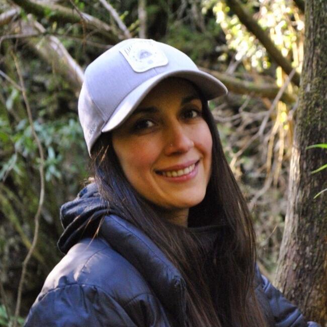 Babysitter in Puerto Varas: Carolina