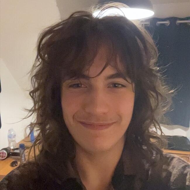 Babysitter in Horsham: Henry