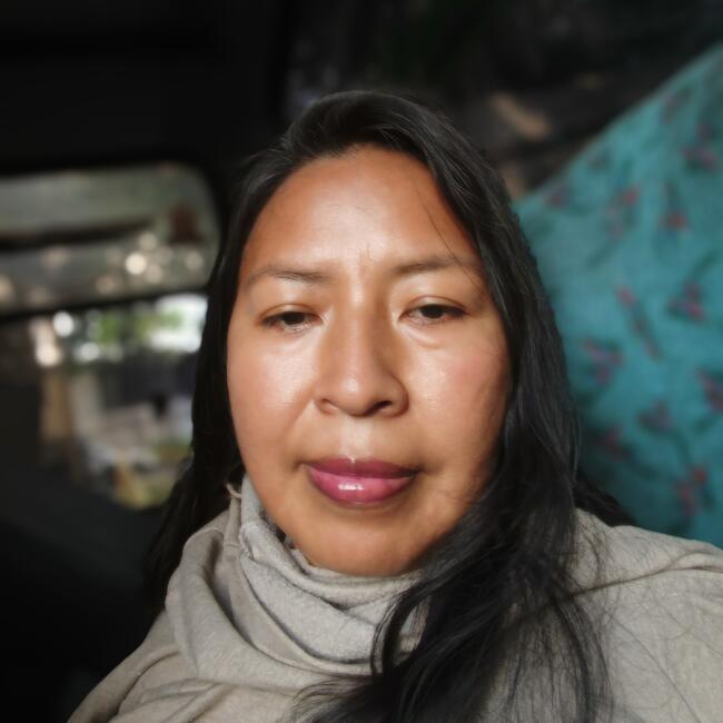 Babysitter in Santiago de Cali: Franci