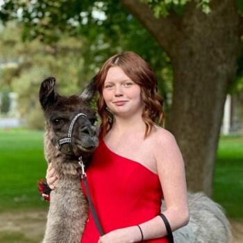 Babysitter in Spokane Valley: Alyssa