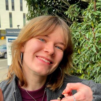 Babysitter in Löwen: Kaat