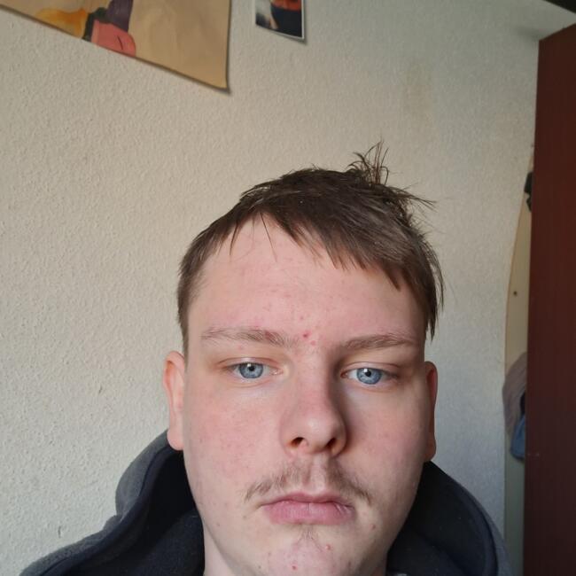 Babysitter in Mulhouse: Eric