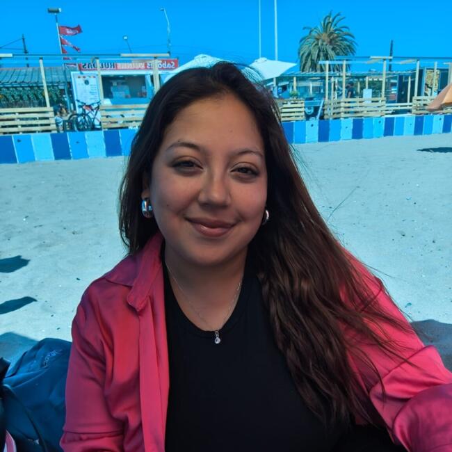 Babysitter in Concepción: Minerva Castillo