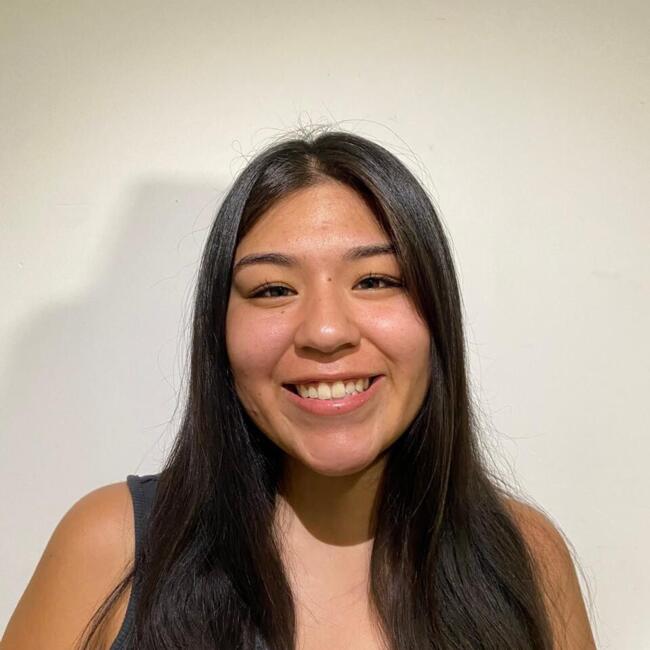 Babysitter in Santiago: Fran