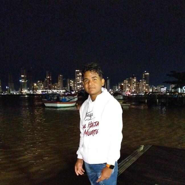 Emprego de babá em Barra Velha: Orlando isaac