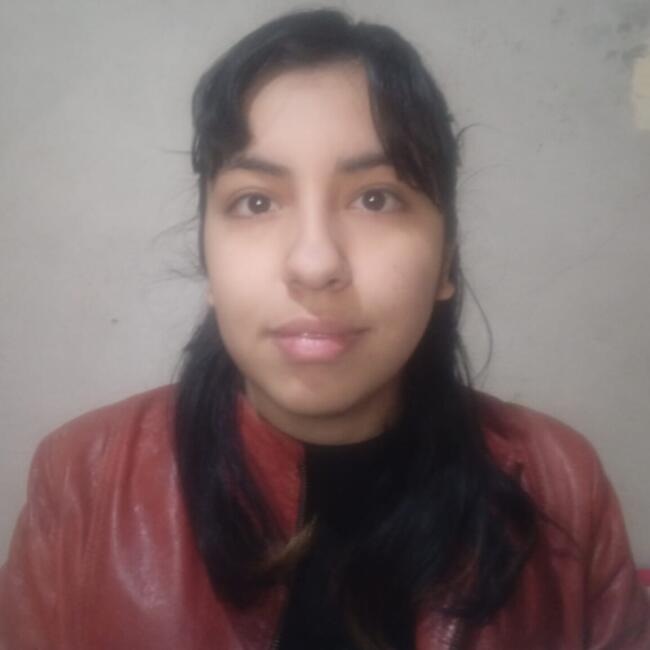 Babysitter in Godoy Cruz: Mica
