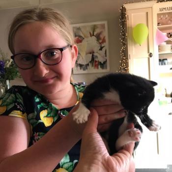 Babysitter Zoetermeer: Claire