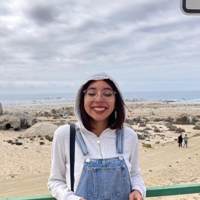 Niñera en Coquimbo: Antonia