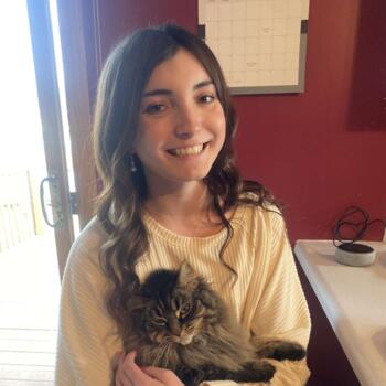 Babysitter in Chesterton: Payton