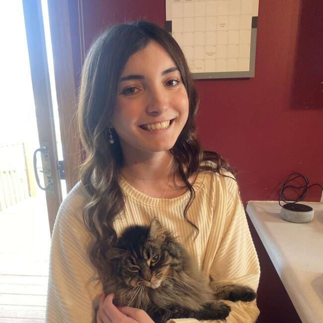 Babysitter in Chesterton: Payton