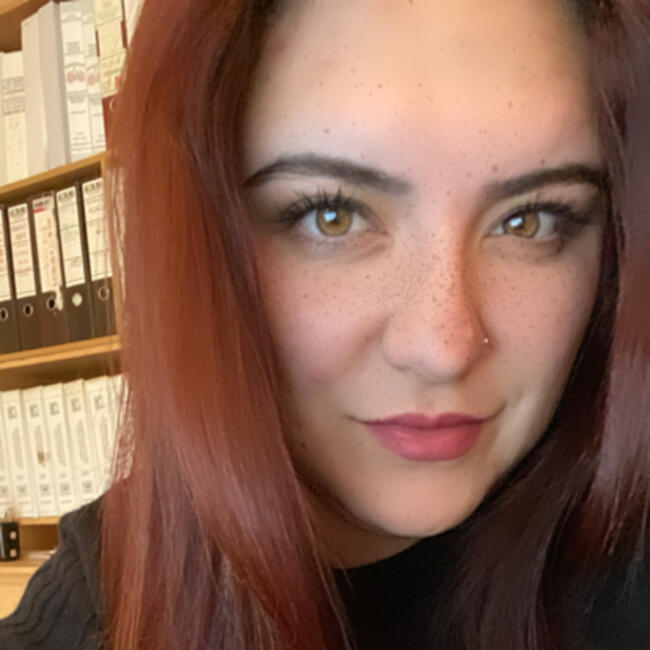 Babysitter in Coquimbo: Nayely