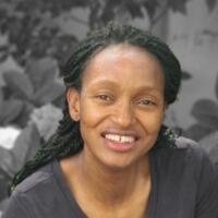 Busisiwe