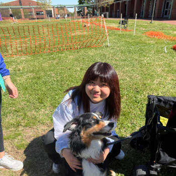 Babysitter in Apex (North Carolina): Yutian