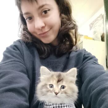 Niñera en Moreno: Antonella