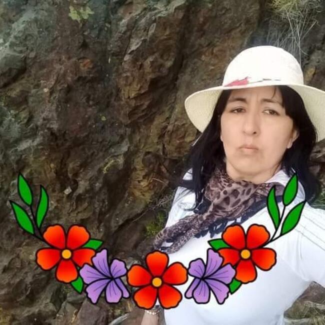 Niñera en Barrio Almirante Brown: ata Alicia del valle