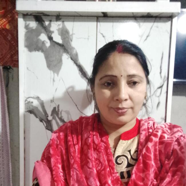 Babysitter in Noida: Madhu