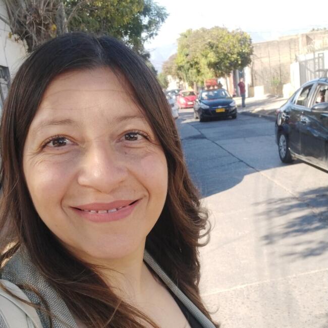 Babysitter in Quillota: Ximena