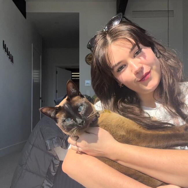 Babysitter in Wellington: Courtney