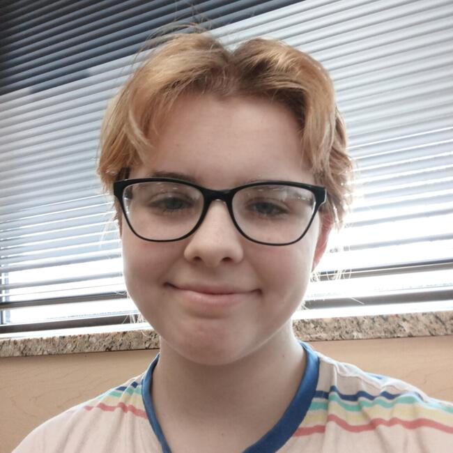 Babysitter in Charter Township of Clinton: Sophia