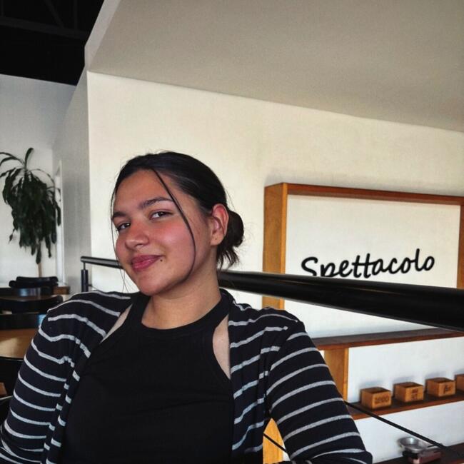 Babysitter in Novo Hamburgo: Letycia