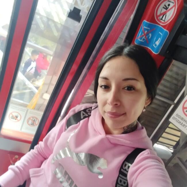Babysitter in Santiago: Stefania Ignacia Torres Quijad