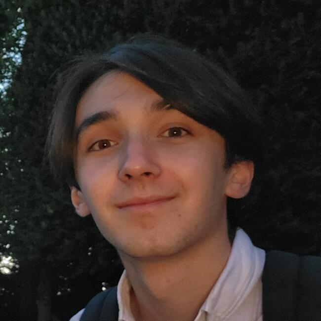 Babysitter in Bordeaux: Lubin