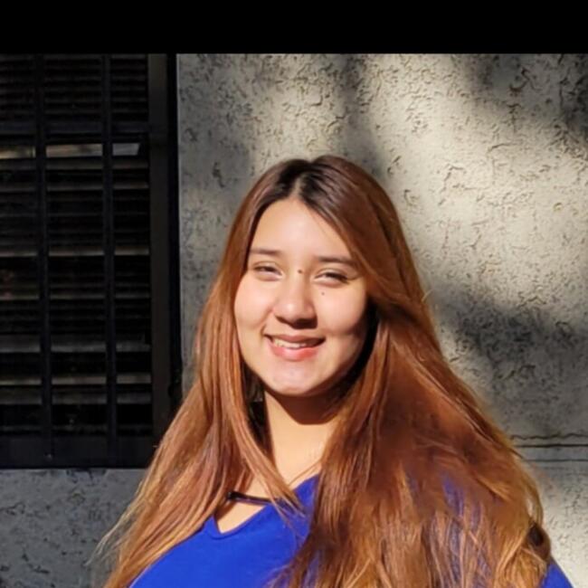 Babysitter in San Bernardo: Core