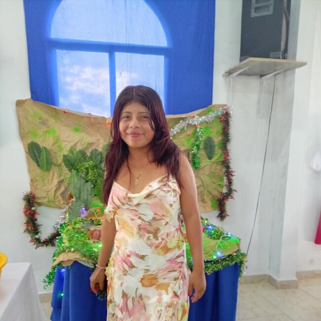 Babysitter in La Chorrera: Didielys