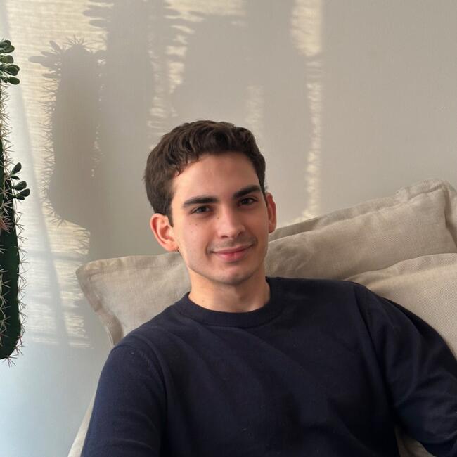 Babysitter a Milano: David