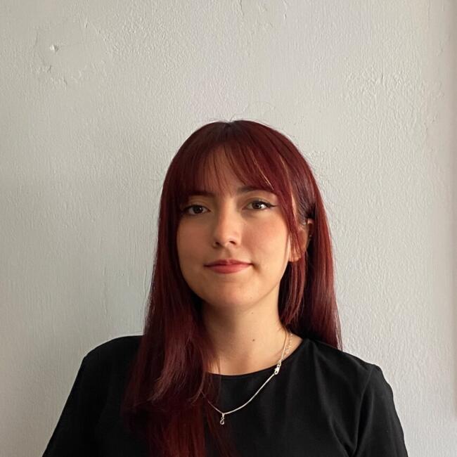 Babysitter in Santiago: Daniela