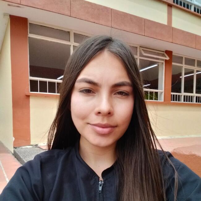 Babysitter in Pereira: Dahyana