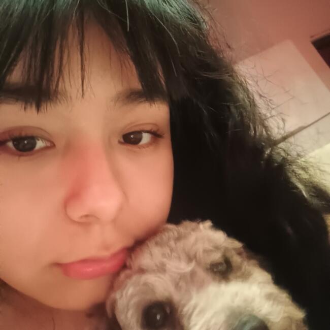 Babysitter in Ciudad del Libertador General San Martín: Yoselin