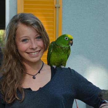 Babysitter a Chêne-Bourg: Jennifer