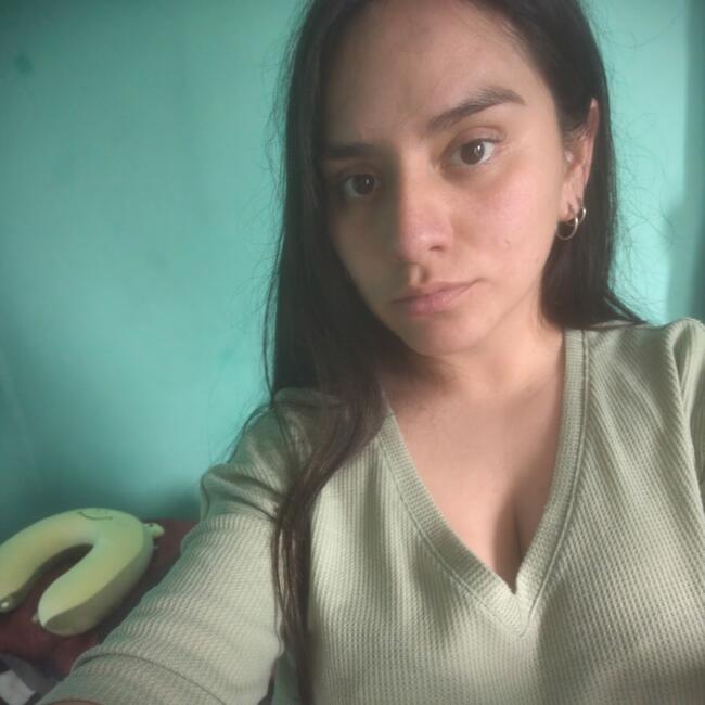 Babysitting job in Valparaíso: Mica