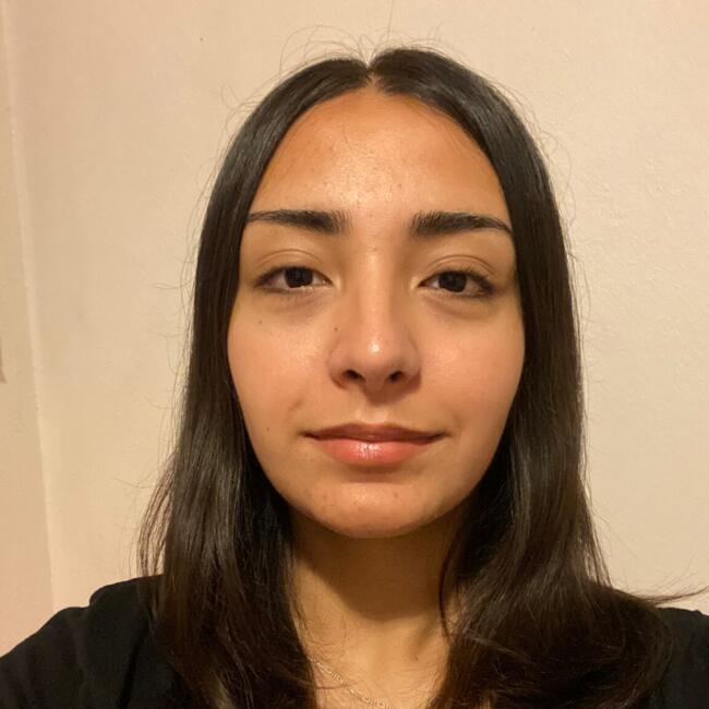 Niñera en La Serena: Janira Perines