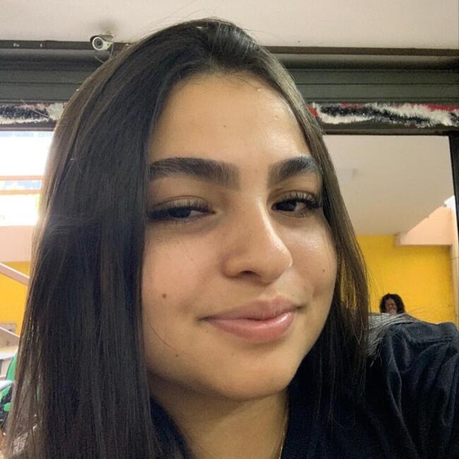 Babysitter in Barra Mansa: Anna Júlia